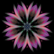 Galactic Boutonniere Digital Art by Rhonda Strickland