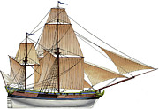 Galiote Drawing by The Collectioner