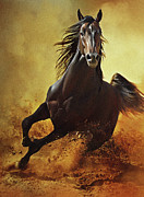 Galloping Horse at Sunset in Dust Photograph by Dimitar Hristov Galloping Horse at Sunset in Dust Photograph by Dimitar Hristov