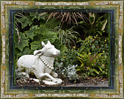 Garden Bull Photograph by Bell And Todd