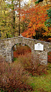 Gate to the burial site. Killin. Photograph by Elena Perelman