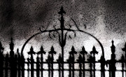 Gated Photograph by Linda Shafer