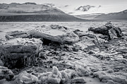 Gathering Bergs Photograph by Tim Newton