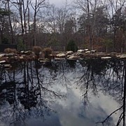 Georgia December Sky Reflected Photograph by Daniel Eskridge