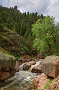 Getting Lost In A Canyon Creek Photograph by James BO Insogna