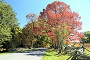 Gettysburg  in the  fall Photograph by M C Hood
