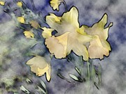 Ghosts of Spring Photograph by Mark Egerton