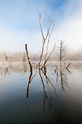 Giving Pond Photograph by Todd Wilkinson Giving Pond Photograph by Todd Wilkinson