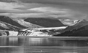 Glacier Bay, Alaska Photograph by Sandra Bronstein