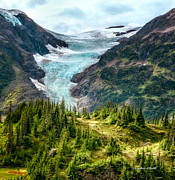 Glacier in an Alpine Meadow Photograph by Claudia Abbott