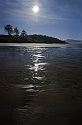 Gleaming  Pathway Photograph by John Christopher
