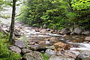 Glen Ellis River, Jackson, New Hampshire Photograph by Dawna Moore Photography