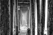 Go Deep Photograph by Lora Lee Chapman