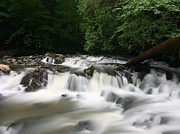 Go With The Flow Photograph by Richie Parks
