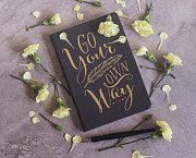 Go Your Own Way Photograph by Kim Hojnacki Go Your Own Way Photograph by Kim Hojnacki