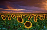 God's Painted Sky Digital Art by John De Bord