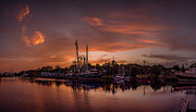 Golden Bayou Sunset Photograph by Brad Boland