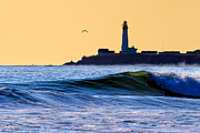 Golden California Coast - Pigeon Point Lighthouse Photograph by Mark Tisdale