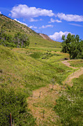 Golden Fault Photograph by Jon Burch Photography