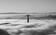 Golden Fog Photograph by David Bearden