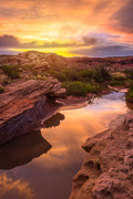Golden Light in Moab Photograph by Darren White Golden Light in Moab Photograph by Darren White