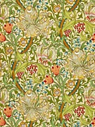 Golden Lily Painting by William Morris