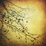 Golden Photograph by Onedayoneimage Photography Golden Photograph by Onedayoneimage Photography