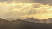 Golden Rays Photograph by Bryan Bzdula