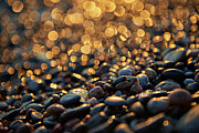 Golden Shore Photograph by Doug Gibbons Golden Shore Photograph by Doug Gibbons