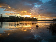 Golden Sunset Photograph by Brad Boland