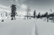 Gone With The Wind Photograph by Andreas Levi Gone With The Wind Photograph by Andreas Levi