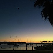 Good Morning Elizabeth Bay 🌴 Photograph by Pix Jax