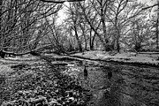 Goose Creek Photograph by Michael Brungardt