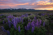 Gore Range Sunset Photograph by Aaron Spong