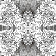 Gram Drawing by Daniel Rustad