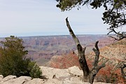 Grand Canyon - 2 Photograph by Christy Pooschke Grand Canyon - 2 Photograph by Christy Pooschke