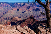 Grand Canyon 7 Photograph by Donna Corless