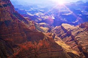 Grand Canyon Arizona 10 Photograph by Tatiana Travelways
