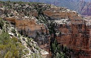 Grand Canyon Photograph by Christy Pooschke Grand Canyon Photograph by Christy Pooschke