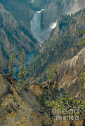 Grand Canyon Of The Yellowstone Photograph by Farrell Grehan