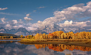 Grand Teton Autumn Splendour Photograph by Philip Preston