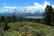 Grand Tetons Photograph by Jemmy Archer Grand Tetons Photograph by Jemmy Archer