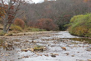 Graveyard Fields Stream Photograph by Allen Nice-Webb