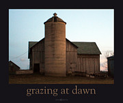 Grazing at Dawn Photograph by Tim Nyberg Grazing at Dawn Photograph by Tim Nyberg