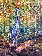 Great Blue Heron Painting by Hailey E Herrera
