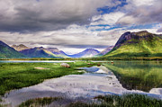 Green hills of Vesteralen Photograph by Dmytro Korol