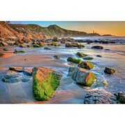 Green Trail To Yaquina Photograph by Michael Ash