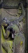 Grief  Photograph by Gia Marie Houck