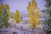 Gros Ventre Grand Teton Fall Snowfall Photograph by Scott McGuire