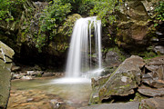 Grotto Falls Great Smoky Mountains Photograph by Jemmy Archer